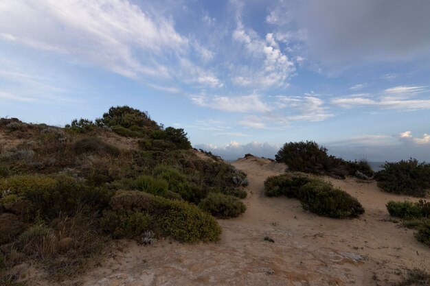 Mazagon strand in de provincie Huelva Spanje Een van de mooiste stranden van Spanje