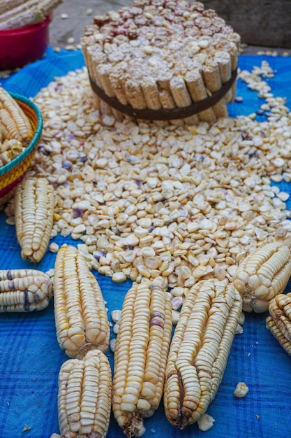 Foto mazorca de maiz pozolero van de staat guerrero
