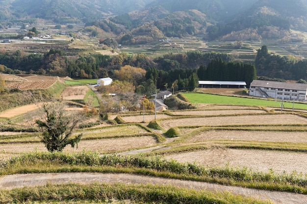 秋の牧草地