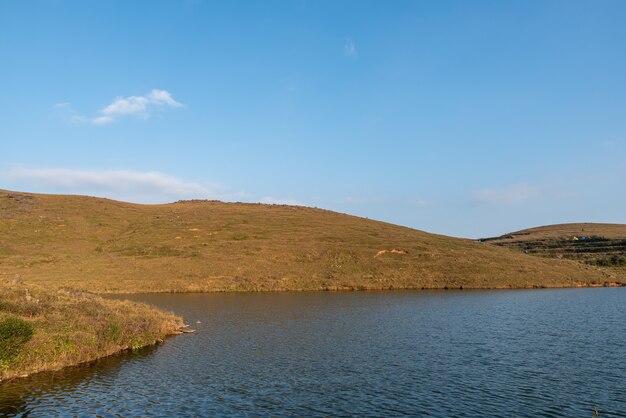 Il prato in riva al lago è blu e l'acqua è blu e l'erba è gialla