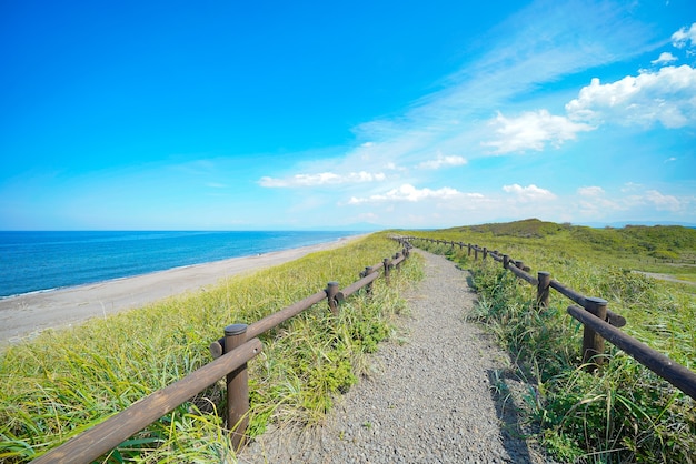 Meadow by the sea and sunny summer sky on fine day