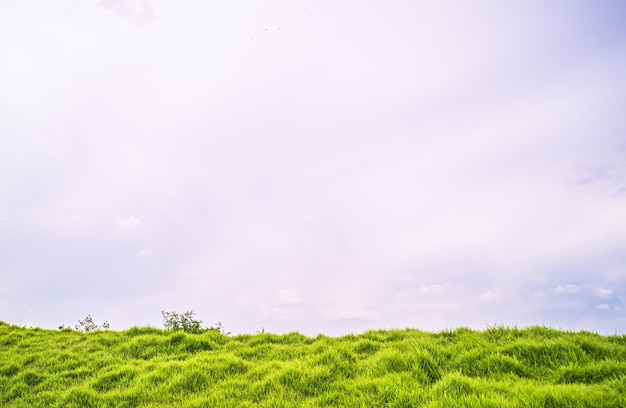 Meadow field hill with white clouds and blue sky A beautiful summer landscape