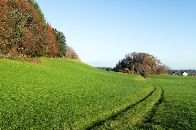 Луга травяное поле сельская земля сельское хозяйство луга осенний ландшафт