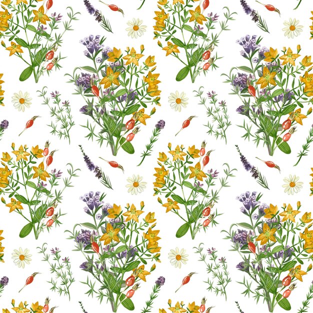 Photo meadow grasses and flowers seamless pattern of echinacea lungwort oregano and hypericaceae all