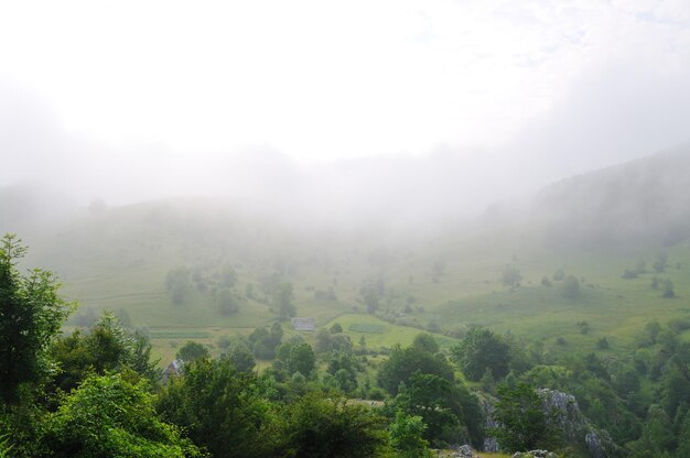 霧と最初の朝の光の草原の風景