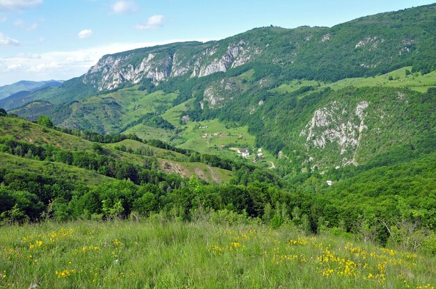 Meadow and mountain