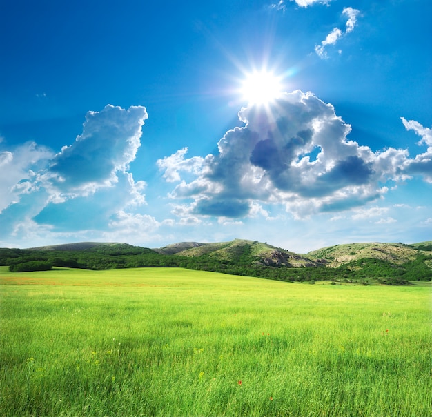 Meadow in mountain