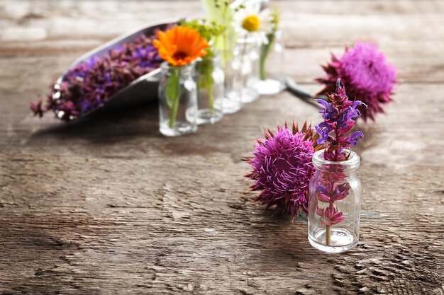 Meadow sage in small glass bottle with different healing flowers on wooden background