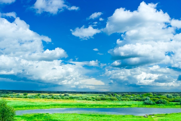 Meadow with blue sky