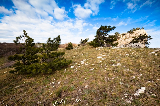 Meadow with green grass strewn stones and boulders