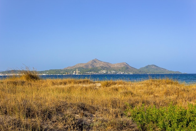 地中海と山を背景にした牧草地