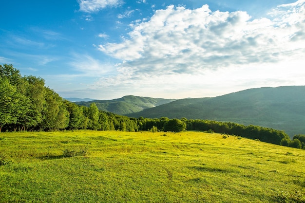 朝の山脈を背景に草や木々に覆われた牧草地自然の風景