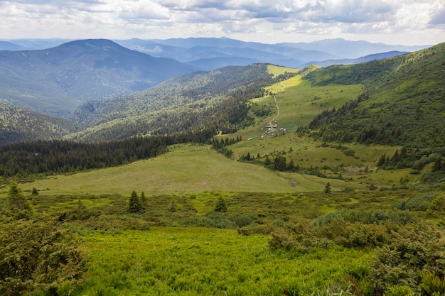 Meadows Polonyna where sheep and cows graze hiking and tourism in Chornohora Carpathians