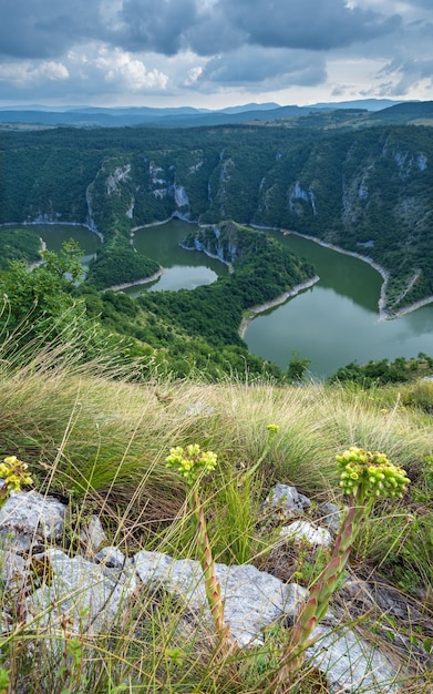 Meanders van de Uvac-rivier Servië