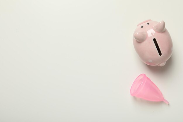 Means for intimate feminine hygiene with a piggy bank