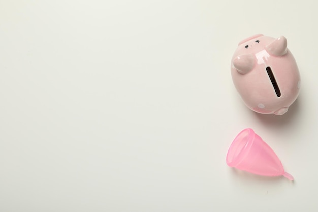 Means for intimate feminine hygiene with a piggy bank