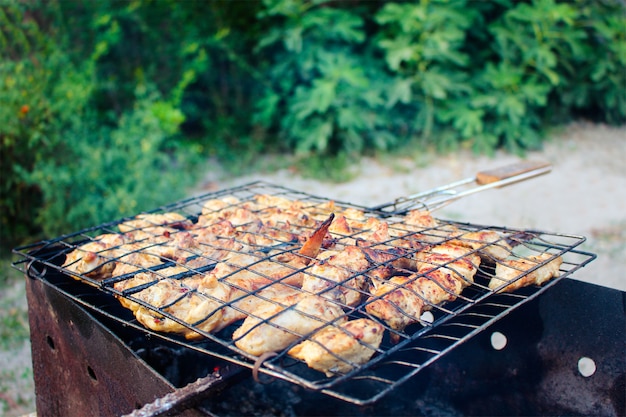 meat is fried at the stake. the kebabs fry on the grill. 