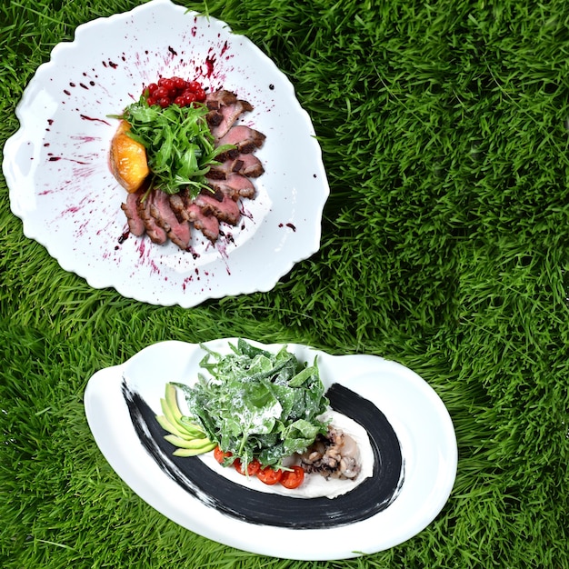 Meat salads with herbs and vegetables on a background of green grass