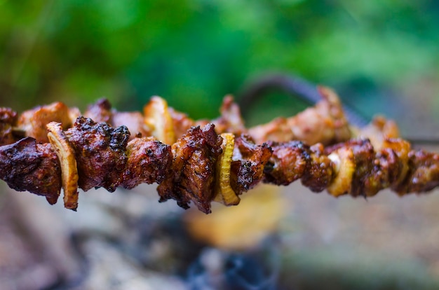Meat shish kebab on a champor over a fire