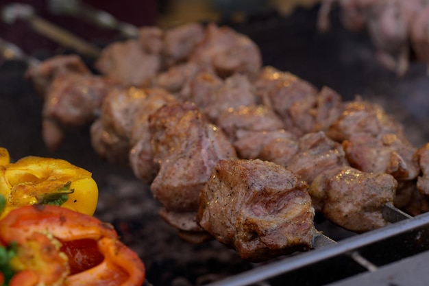 Meat shish kebab on the grill traditional outdoor barbecue picnic grilled meat bbq