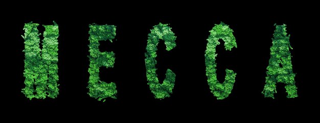 Mecca lettering Mecca Forest Ecology Concept