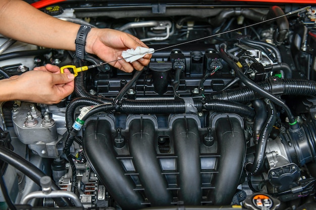 Il meccanico tiene l'asta di livello dell'olio controlla il livello dell'olio nel motore dell'auto