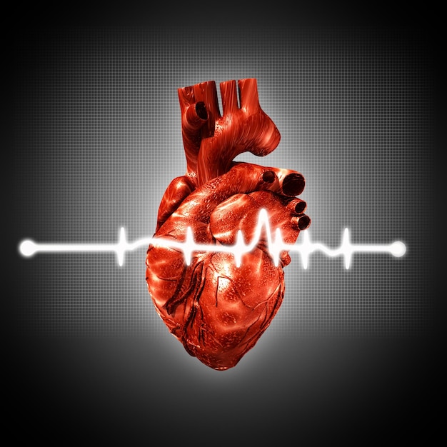 Photo medical abstract backgrounds with human 3d rendered heart