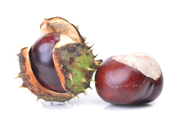 Medical chestnut