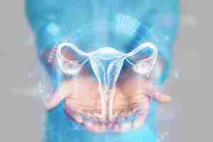 Photo medical concept doctor's hands in a blue coat closeup ultrasound of the uterus xray hologram medical care woman anatomy doctor's appointment reproductive system mixed media