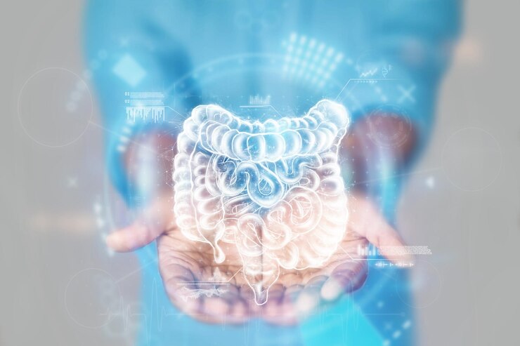 青いコートのクローズアップでの医療コンセプト医師の手内臓の腸の超音波のX線医療解剖学医師の任命医療技術混合メディア