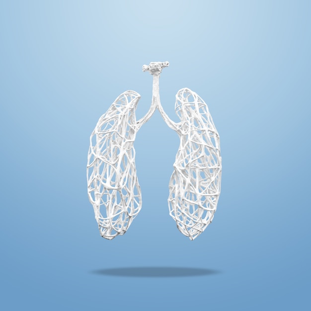 Medical concept made of white wooden branches in shape of human lungs