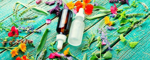 Medical essential oils of flowers and herbs.Herbal essence.Aromatherapy.Natural cosmetic