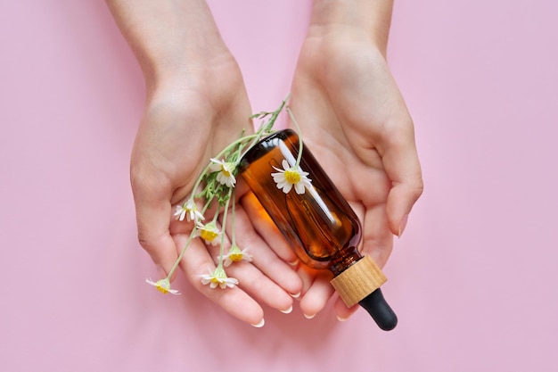 Medical herbal natural cosmetics with chamomile Woman hands flowers and glass bottle with product on pink background top view