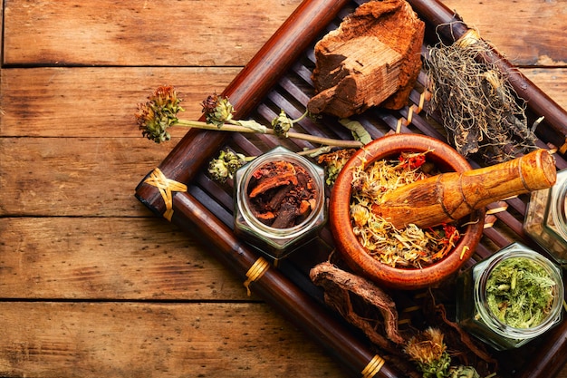 Medical herbs and medicinal plants in a tray Space for text