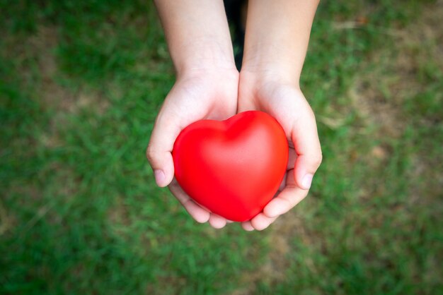 Concetto di icona medica nel cuore delle mani della famiglia