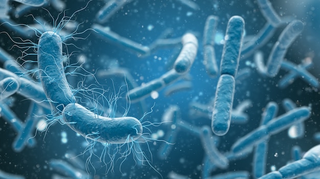 Фото Медицинская иллюстрация клеток бактерий