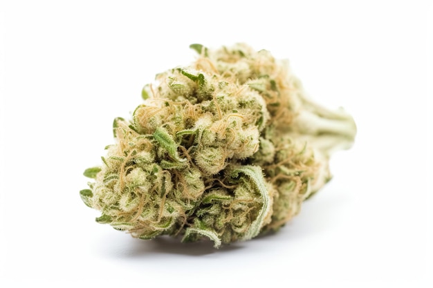 Medical marijuana bud on white background