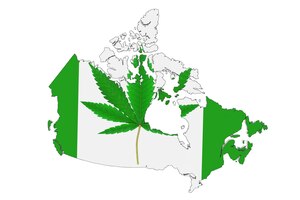 Photo medical marijuana or cannabis hemp leaf as canada flag and map on a white background. 3d rendering