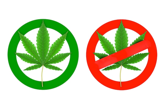 Medical Marijuana or Cannabis Hemp Leaf as No Drugs Prohibit Sign and Green Allow Marijuana Sign on a white background. 3d Rendering