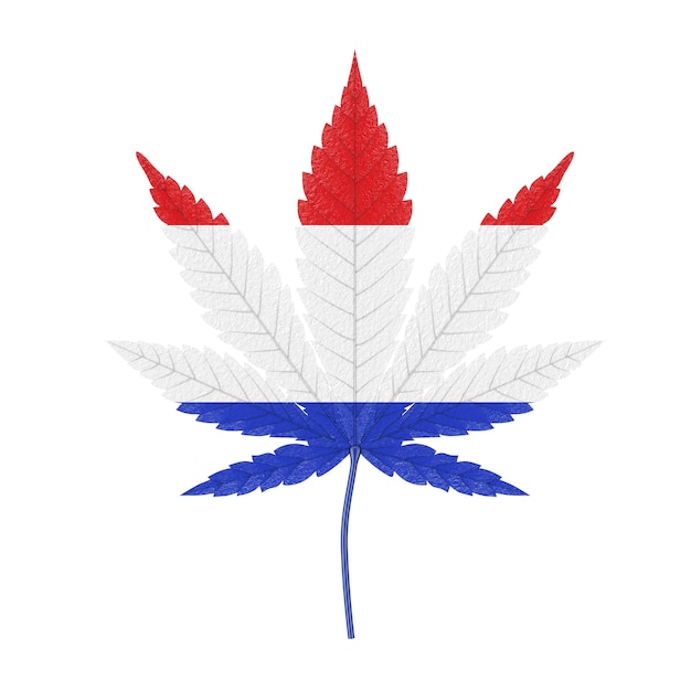 Medical Marijuana or Cannabis Hemp Leaf with Kingdom of the Netherlands Flag Colors on a white background. 3d Rendering