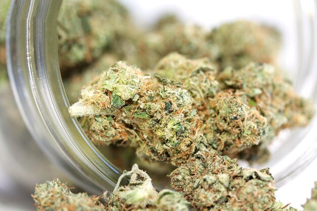 Medical marijuana flower for dispensary menu cannabis bud