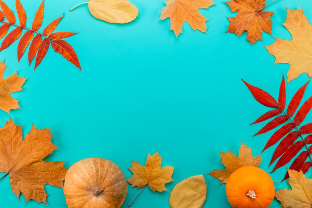 Medical mask between maple leaves isolated