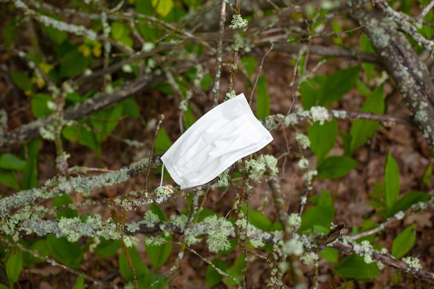 Medical mask stuck in a branch pandemic coronavirus