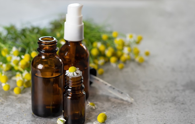 Medical oil bottles and chamomile plant bloom herbs on a stone surface.