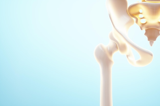 Medical poster image of the bones of the pelvis, the joint in\
the hip part. arthritis, inflammation, fracture, cartilage, . copy\
space, 3d illustration, 3d render.