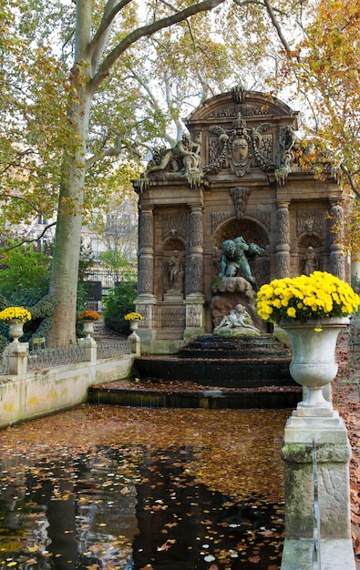 The Medici Fountain France Paris