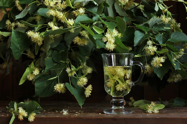 Medicinal the decoction of lime flowers in the glass. Flowering branches of a Linden. A folk remedy for colds.