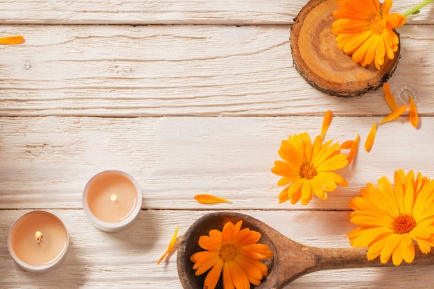 Medicinal flowers of calendula on white wood