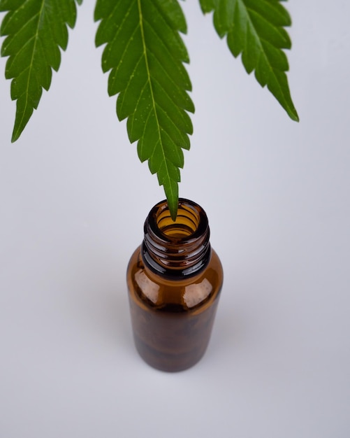 Medicinal hemp essential oil and green leaf with bottle