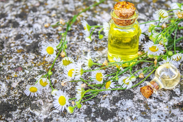 Medicinal herbs in bottles. chamomile oil extract. Selective focus.